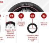 How to choose the right tire – Radburg